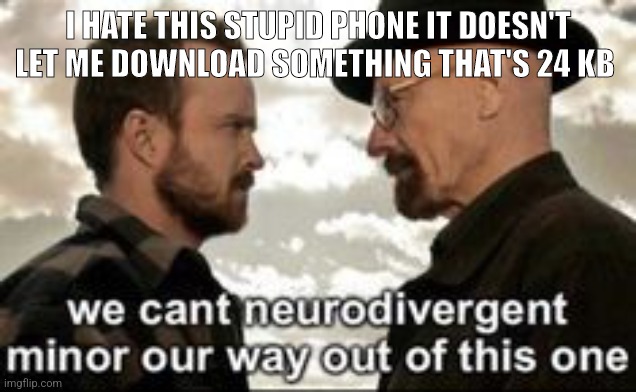 we cant neurodivergent minor our way out of this one | I HATE THIS STUPID PHONE IT DOESN'T LET ME DOWNLOAD SOMETHING THAT'S 24 KB | image tagged in we cant neurodivergent minor our way out of this one | made w/ Imgflip meme maker