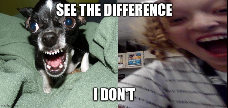 idk funny | SEE THE DIFFERENCE; I DON'T | image tagged in memes | made w/ Imgflip meme maker