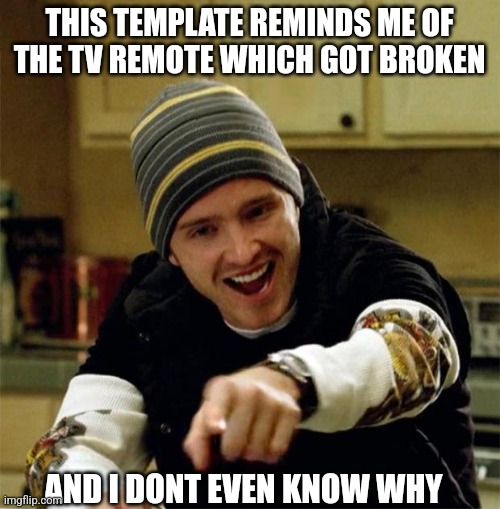 Jesse Pinkman | THIS TEMPLATE REMINDS ME OF THE TV REMOTE WHICH GOT BROKEN; AND I DONT EVEN KNOW WHY | image tagged in jesse pinkman | made w/ Imgflip meme maker