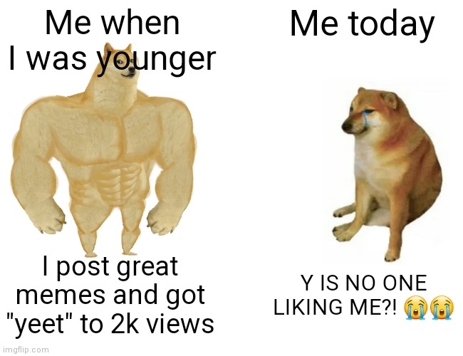 So true... I miss the good old days... | Me when I was younger; Me today; I post great memes and got "yeet" to 2k views; Y IS NO ONE LIKING ME?! 😭😭 | image tagged in memes,buff doge vs cheems | made w/ Imgflip meme maker