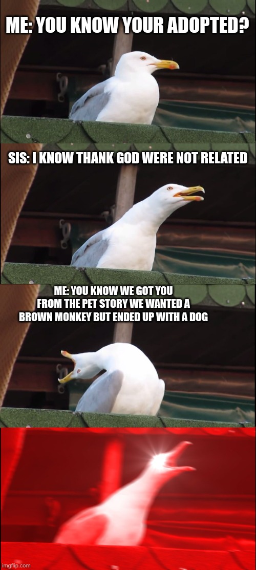 Inhaling Seagull Meme | ME: YOU KNOW YOUR ADOPTED? SIS: I KNOW THANK GOD WERE NOT RELATED; ME: YOU KNOW WE GOT YOU FROM THE PET STORY WE WANTED A BROWN MONKEY BUT ENDED UP WITH A DOG | image tagged in memes | made w/ Imgflip meme maker