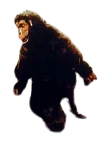 Goro Meme Template