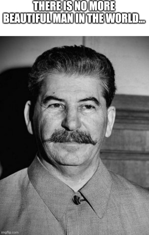 girls are crazy about Stalin | THERE IS NO MORE BEAUTIFUL MAN IN THE WORLD... | image tagged in blank white template,stalin,joseph stalin,soviet union,giga chad | made w/ Imgflip meme maker