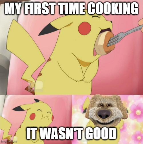 He doesn't like my cooking! >:( | MY FIRST TIME COOKING; IT WASN'T GOOD | image tagged in pikachu eating cake,pikachu | made w/ Imgflip meme maker