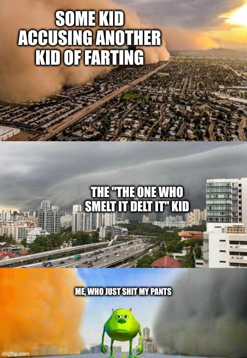 the one who delt it, well they delt it | SOME KID ACCUSING ANOTHER KID OF FARTING; THE "THE ONE WHO SMELT IT DELT IT" KID; ME, WHO JUST SHIT MY PANTS | image tagged in mike wazowski storm dog | made w/ Imgflip meme maker