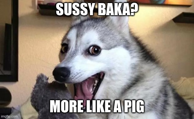 Pun dog - husky | SUSSY BAKA? MORE LIKE A PIG | image tagged in pun dog - husky | made w/ Imgflip meme maker