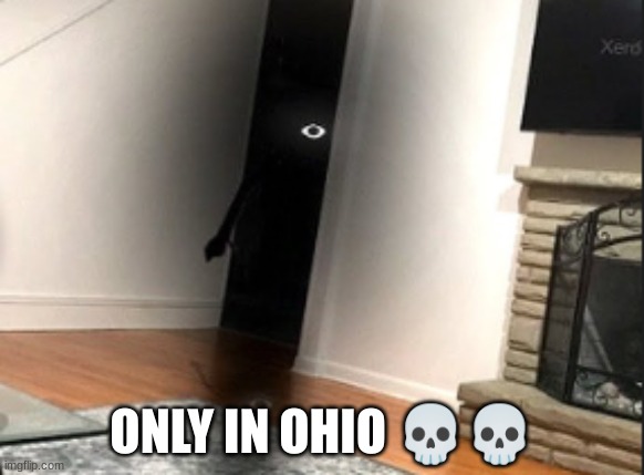 dOwN iN oHiO | ONLY IN OHIO 💀💀 | image tagged in swag in ohio | made w/ Imgflip meme maker