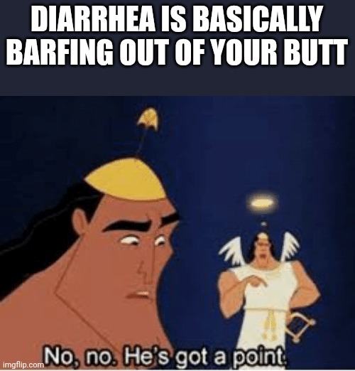No, no. He's got a point | DIARRHEA IS BASICALLY BARFING OUT OF YOUR BUTT | image tagged in no no he's got a point,memes,sickness | made w/ Imgflip meme maker