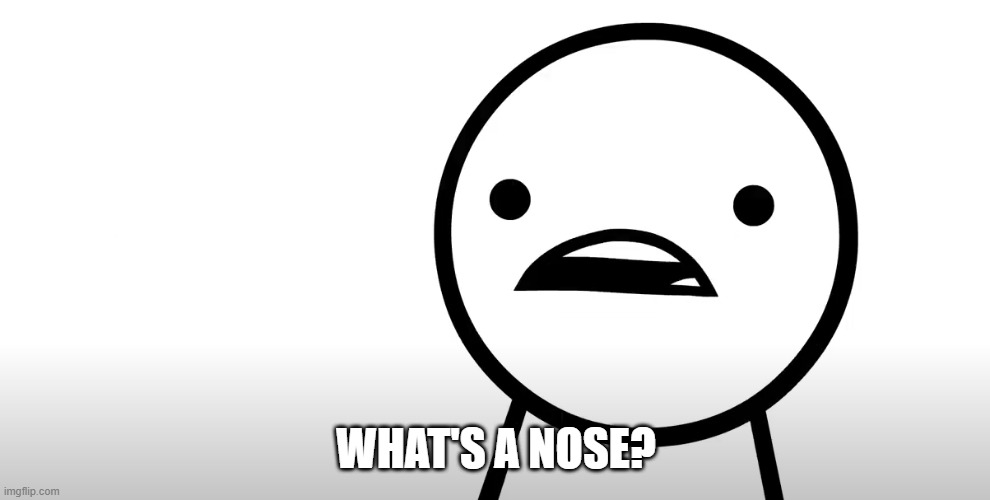 WHAT'S A NOSE? | made w/ Imgflip meme maker