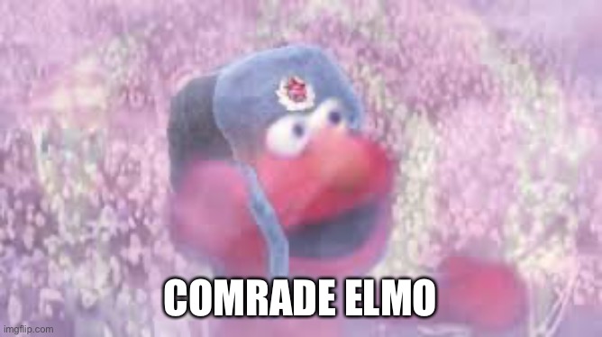 comrade elmo | COMRADE ELMO | image tagged in comrade elmo | made w/ Imgflip meme maker
