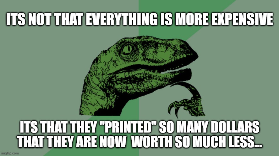 philoso-inflation | ITS NOT THAT EVERYTHING IS MORE EXPENSIVE; ITS THAT THEY "PRINTED" SO MANY DOLLARS THAT THEY ARE NOW  WORTH SO MUCH LESS... | image tagged in philosophy dinosaur,inflation,printing money | made w/ Imgflip meme maker
