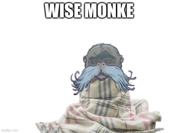 yes | WISE MONKE | made w/ Imgflip meme maker