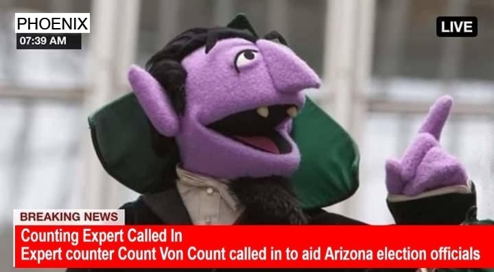 Counting Expert Called In to Aid Arizona Election Officials | image tagged in counting expert,count von count,arizona,election fraud,voter fraud,government corruption | made w/ Imgflip meme maker