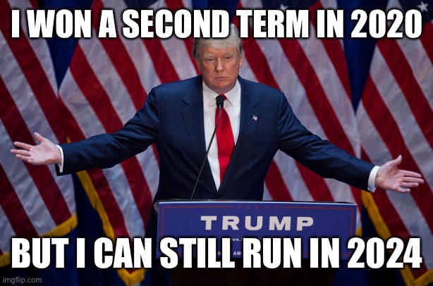 Donald Trump | I WON A SECOND TERM IN 2020; BUT I CAN STILL RUN IN 2024 | image tagged in donald trump | made w/ Imgflip meme maker