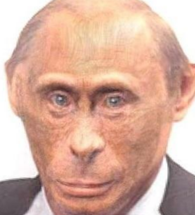 monke putin Blank Meme Template