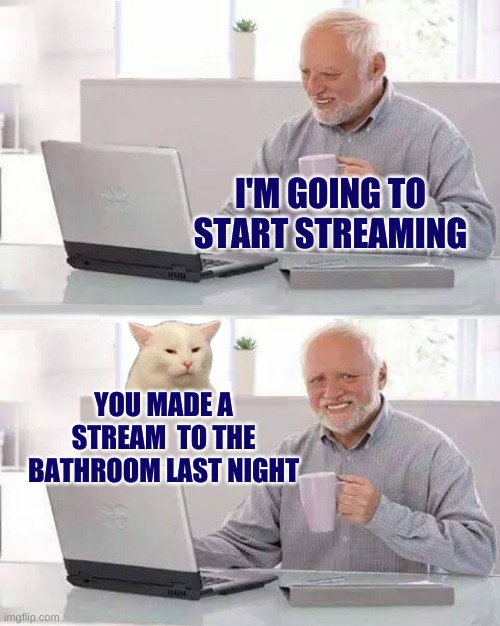 Hide the Stream Harold |  I'M GOING TO START STREAMING; YOU MADE A STREAM  TO THE BATHROOM LAST NIGHT | image tagged in hide the smudge harold,hide the pain harold,smudge the cat,incontinence,streaming,pee | made w/ Imgflip meme maker