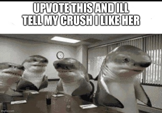 we do a little trolling | UPVOTE THIS AND ILL TELL MY CRUSH I LIKE HER | image tagged in we do a little trolling | made w/ Imgflip meme maker