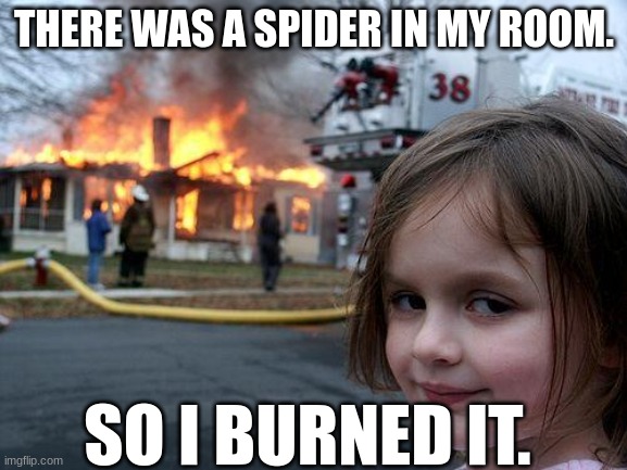 Disaster Girl | THERE WAS A SPIDER IN MY ROOM. SO I BURNED IT. | image tagged in memes,disaster girl | made w/ Imgflip meme maker