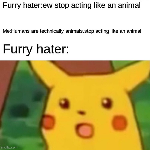 They technically are,beating the whole "stop acting like an animal" | Furry hater:ew stop acting like an animal; Me:Humans are technically animals,stop acting like an animal; Furry hater: | image tagged in memes,surprised pikachu | made w/ Imgflip meme maker