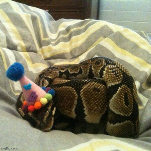 Birthday snake | image tagged in birthday snake | made w/ Imgflip meme maker
