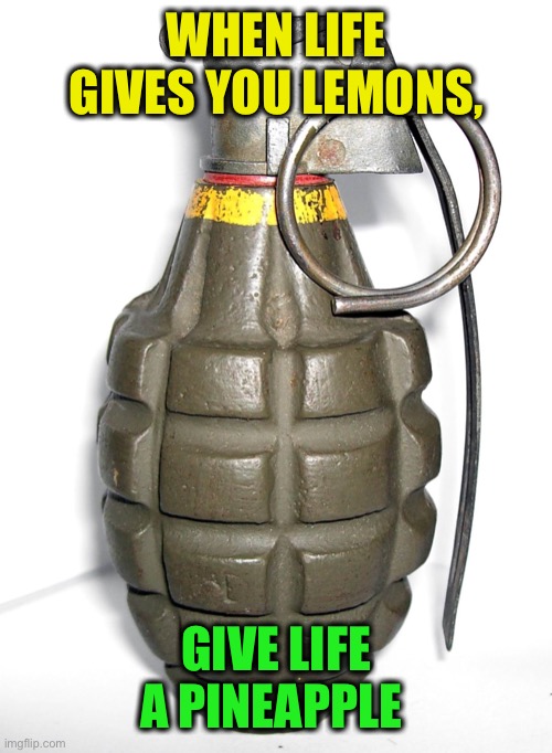 grenade | WHEN LIFE GIVES YOU LEMONS, GIVE LIFE A PINEAPPLE | image tagged in grenade | made w/ Imgflip meme maker