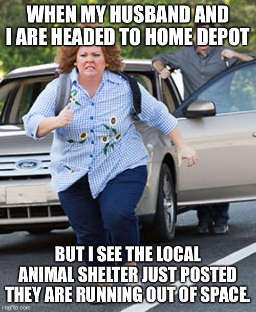 Animal Rescuer be like | WHEN MY HUSBAND AND I ARE HEADED TO HOME DEPOT; BUT I SEE THE LOCAL ANIMAL SHELTER JUST POSTED THEY ARE RUNNING OUT OF SPACE. | image tagged in animal,rescue,cats,dogs,crazy cat lady,too many pets | made w/ Imgflip meme maker