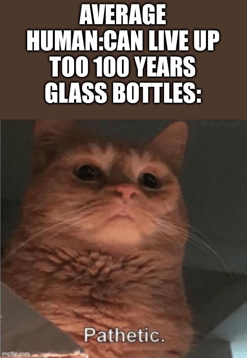 Glass bottles take  millions of years to decompose | AVERAGE HUMAN:CAN LIVE UP TOO 100 YEARS
GLASS BOTTLES: | image tagged in pathetic cat | made w/ Imgflip meme maker