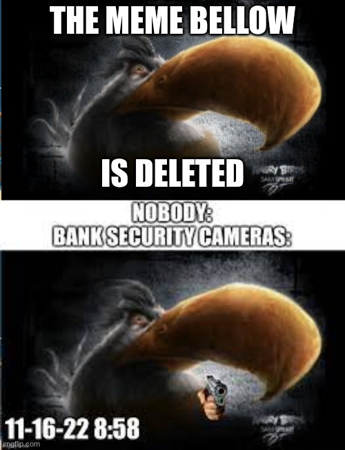 THE MEME BELLOW; IS DELETED | image tagged in realistic mighty eagle | made w/ Imgflip meme maker