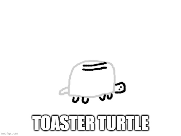 tried posting this on the furry stream but it didnt so here | TOASTER TURTLE | made w/ Imgflip meme maker