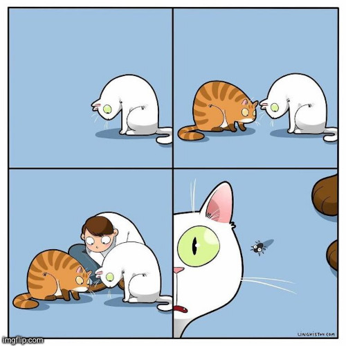 It is just a fly | image tagged in cat,comics | made w/ Imgflip meme maker