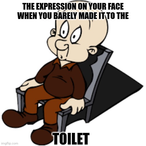 Damn |  THE EXPRESSION ON YOUR FACE WHEN YOU BARELY MADE IT TO THE; TOILET | image tagged in bathroom | made w/ Imgflip meme maker