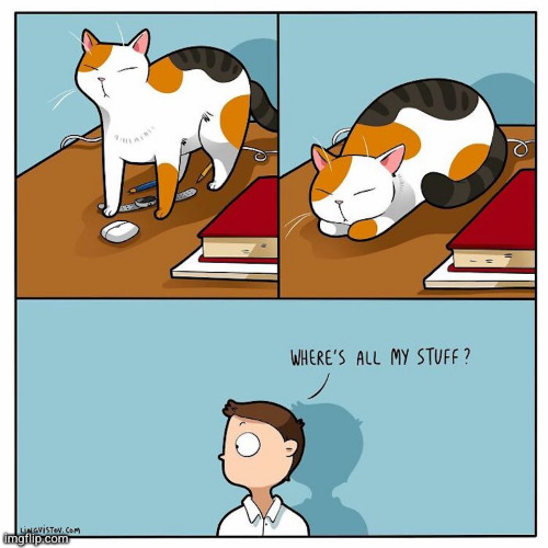 It's all gone now | image tagged in cat,comics | made w/ Imgflip meme maker