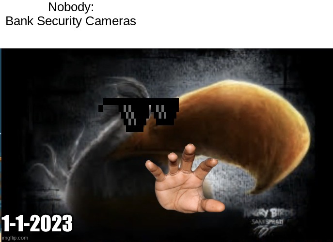 Bank Security Cameras | Nobody:
Bank Security Cameras; 1-1-2023 | image tagged in realistic mighty eagle | made w/ Imgflip meme maker