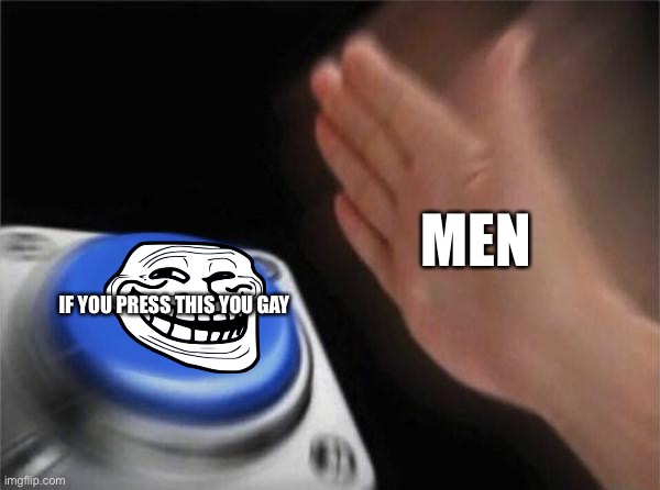 Ok... | MEN; IF YOU PRESS THIS YOU GAY | image tagged in memes,blank nut button | made w/ Imgflip meme maker