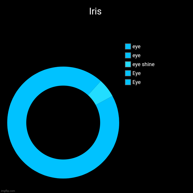 I love eyes | Iris | Eye, Eye, eye shine, eye, eye | image tagged in charts,donut charts | made w/ Imgflip chart maker