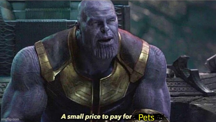 A small price to pay | Pets | image tagged in a small price to pay | made w/ Imgflip meme maker