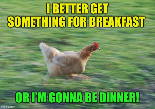 Fast Running Chicken | I BETTER GET SOMETHING FOR BREAKFAST OR I’M GONNA BE DINNER! | image tagged in fast running chicken | made w/ Imgflip meme maker