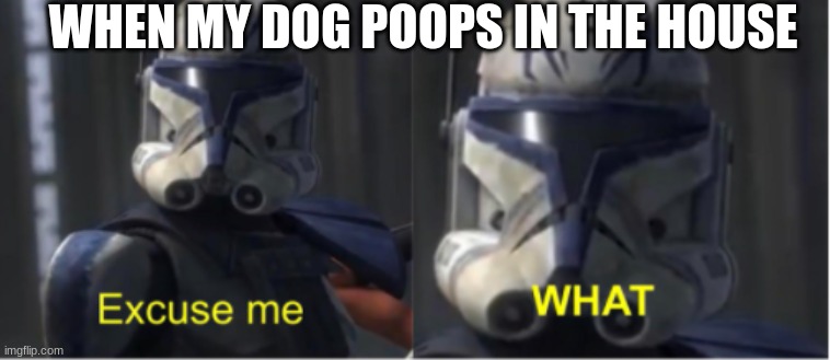 Excuse me what | WHEN MY DOG POOPS IN THE HOUSE | image tagged in excuse me what | made w/ Imgflip meme maker