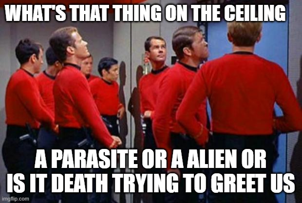red shirts meet their fate |  WHAT'S THAT THING ON THE CEILING; A PARASITE OR A ALIEN OR IS IT DEATH TRYING TO GREET US | image tagged in star trek red shirts | made w/ Imgflip meme maker