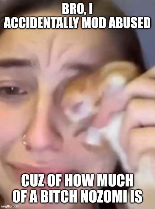 hampter cry | BRO, I ACCIDENTALLY MOD ABUSED; CUZ OF HOW MUCH OF A BITCH NOZOMI IS | image tagged in hampter cry | made w/ Imgflip meme maker