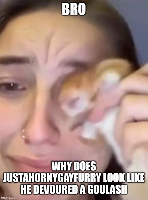 hampter cry | BRO; WHY DOES JUSTAHORNYGAYFURRY LOOK LIKE HE DEVOURED A GOULASH | image tagged in hampter cry | made w/ Imgflip meme maker