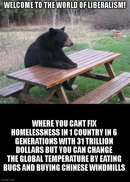 Bad Luck Bear Meme | WELCOME TO THE WORLD OF LIBERALISM! WHERE YOU CANT FIX HOMELESSNESS IN 1 COUNTRY IN 6 GENERATIONS WITH 31 TRILLION DOLLARS BUT YOU CAN CHANGE THE GLOBAL TEMPERATURE BY EATING BUGS AND BUYING CHINESE WINDMILLS | image tagged in memes,bad luck bear | made w/ Imgflip meme maker