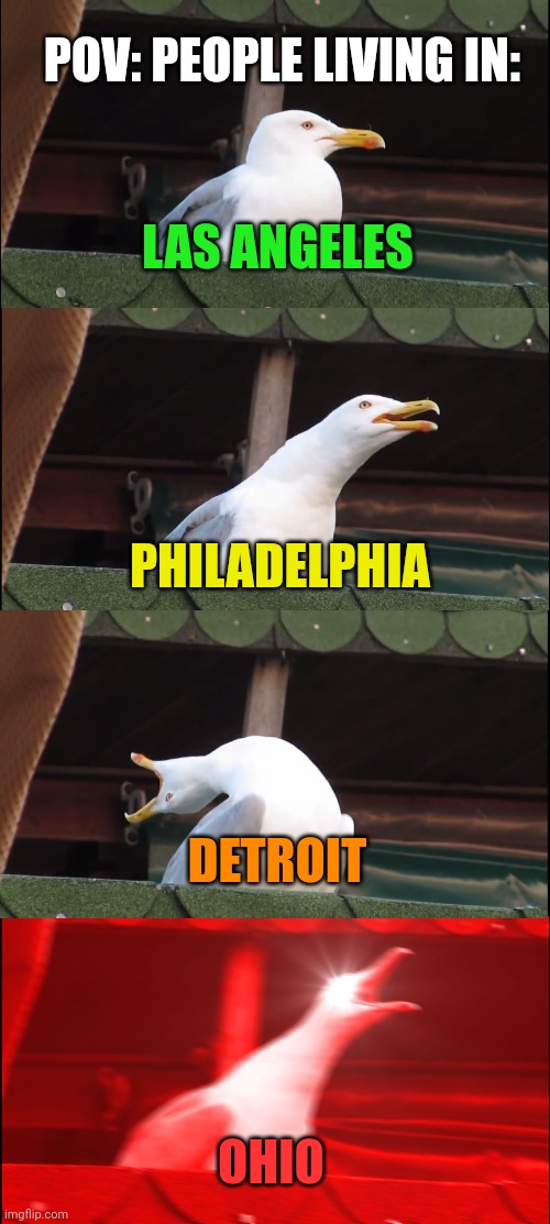 Inhaling Seagull Meme | POV: PEOPLE LIVING IN:; LAS ANGELES; PHILADELPHIA; DETROIT; OHIO | image tagged in memes,inhaling seagull | made w/ Imgflip meme maker