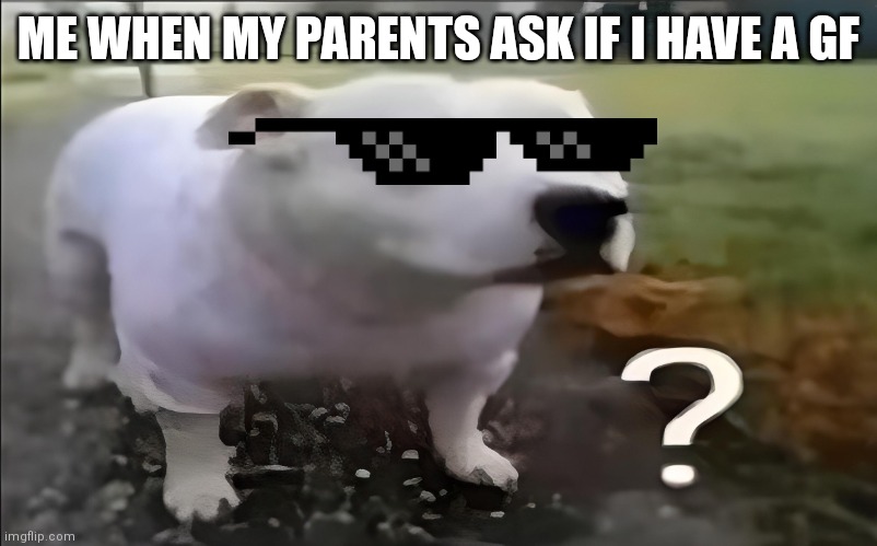 I have had this | ME WHEN MY PARENTS ASK IF I HAVE A GF | image tagged in huh dog,moment | made w/ Imgflip meme maker
