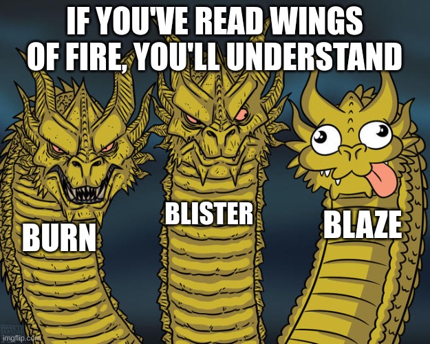 Three-headed Dragon | IF YOU'VE READ WINGS OF FIRE, YOU'LL UNDERSTAND; BLISTER; BLAZE; BURN | image tagged in three-headed dragon,wings of fire | made w/ Imgflip meme maker