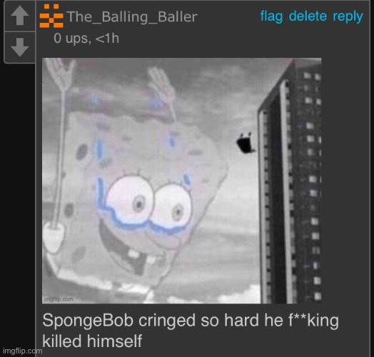 NOOO NOT SPINGEBOO | image tagged in nooo not spingeboo | made w/ Imgflip meme maker