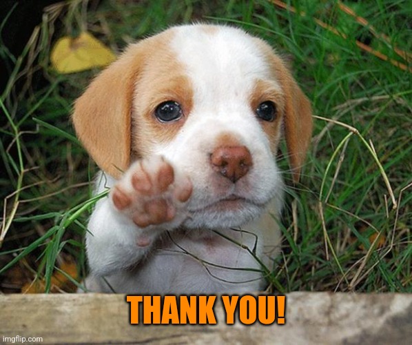 dog puppy bye | THANK YOU! | image tagged in dog puppy bye | made w/ Imgflip meme maker