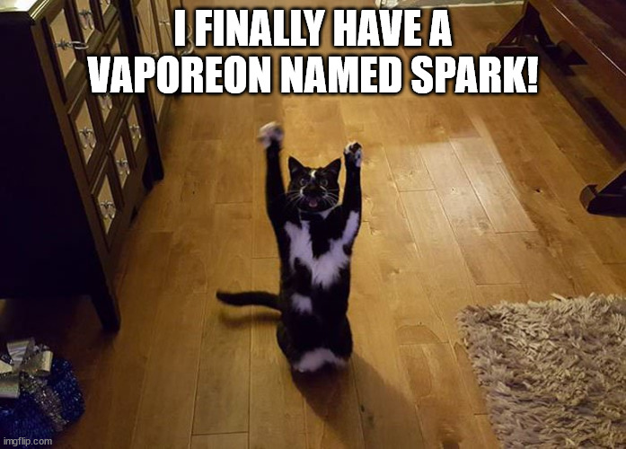 Yipeee cat | I FINALLY HAVE A VAPOREON NAMED SPARK! | image tagged in yipeee cat | made w/ Imgflip meme maker