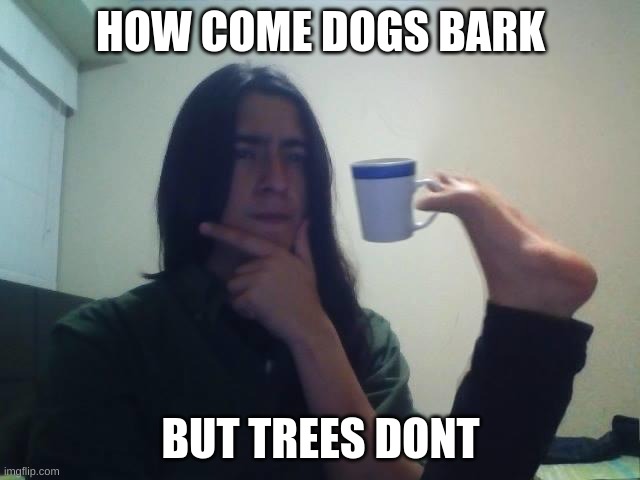 Hmmmm | HOW COME DOGS BARK; BUT TREES DONT | image tagged in hmmmm | made w/ Imgflip meme maker