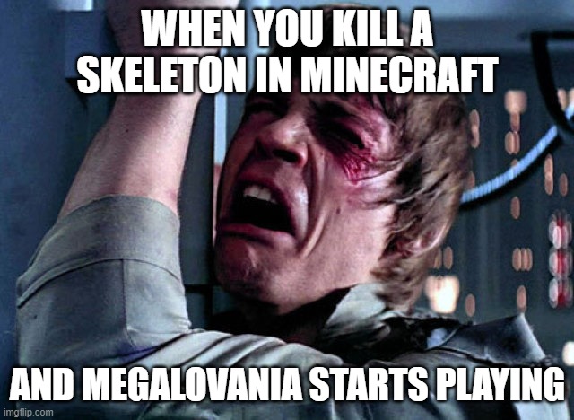 Nooo | WHEN YOU KILL A SKELETON IN MINECRAFT; AND MEGALOVANIA STARTS PLAYING | image tagged in nooo,undertale,minecraft | made w/ Imgflip meme maker